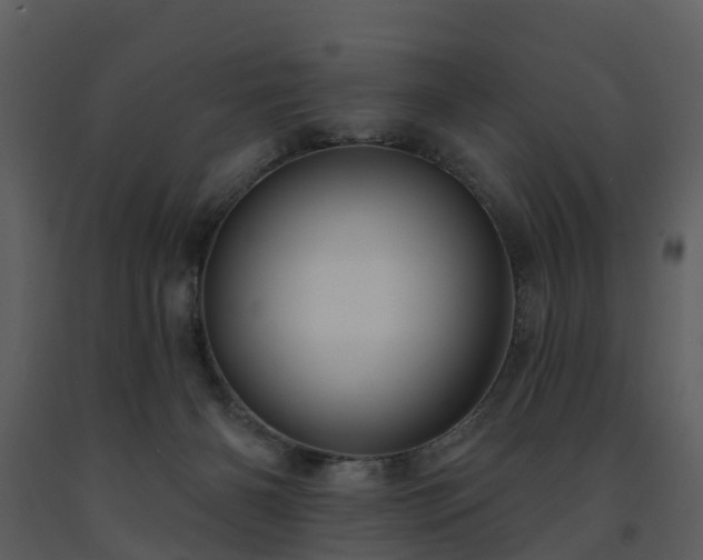 X0000091730126200708241422
