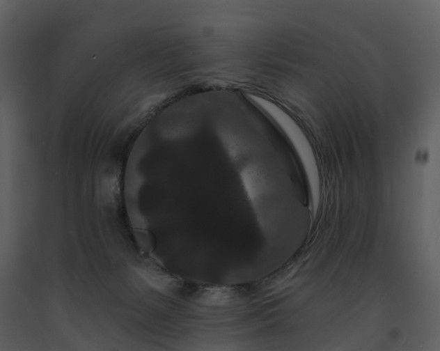 X0000091730127200708241422