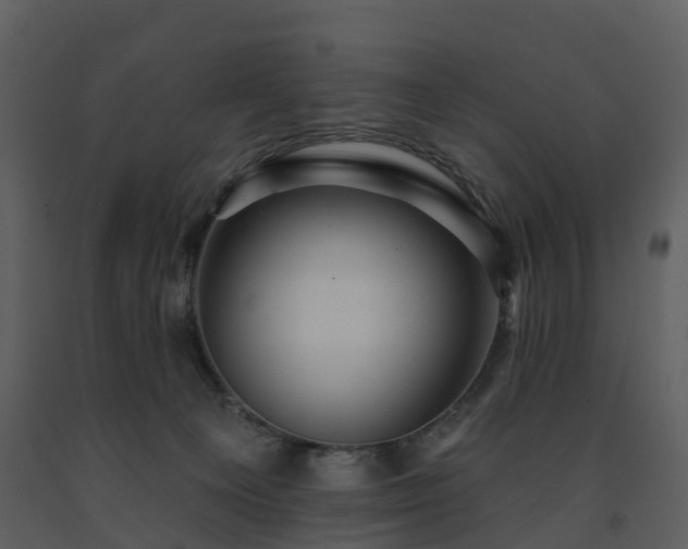 X0000091730129200708241422