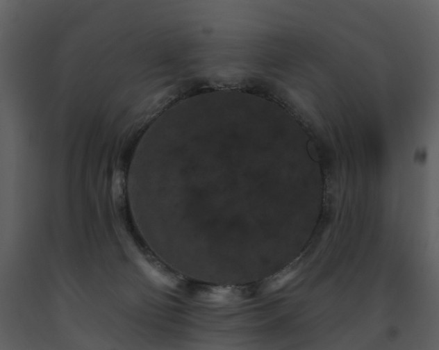 X0000091730130200708241422