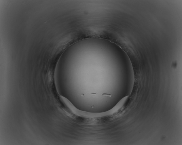 X0000091730131200708241422