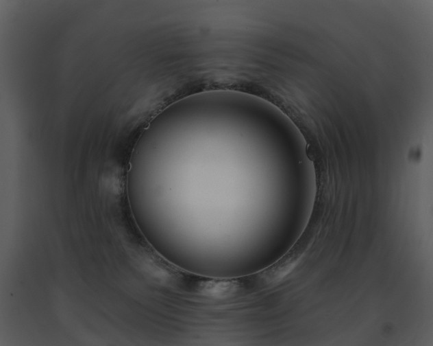 X0000091730135200708241422