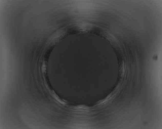 X0000091730137200708241422