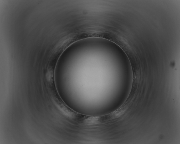 X0000091730138200708241422