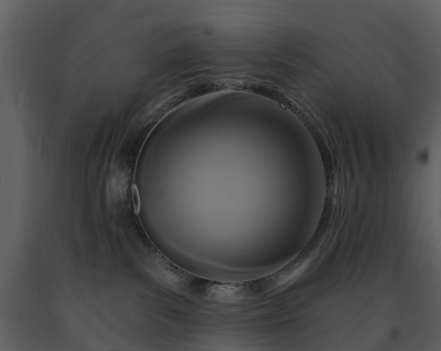 X0000091730139200708241422