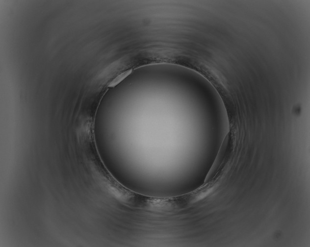 X0000091730141200708241422
