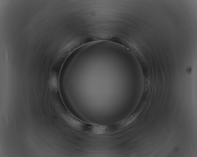 X0000091730143200708241422