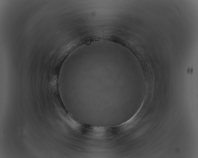 X0000091730144200708241422