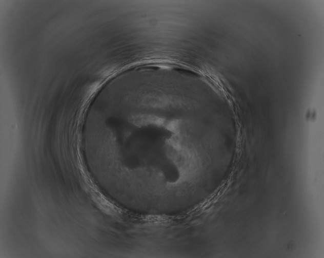 X0000091730145200708241421