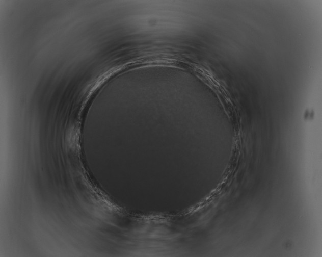 X0000091730146200708241421
