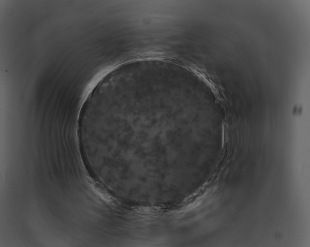 X0000091730147200708241421