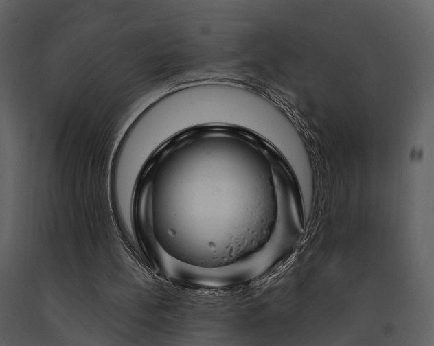 X0000091730148200708241421