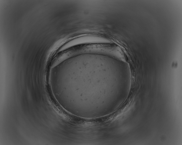 X0000091730149200708241421