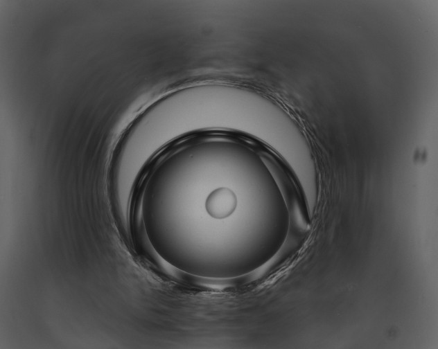 X0000091730150200708241421