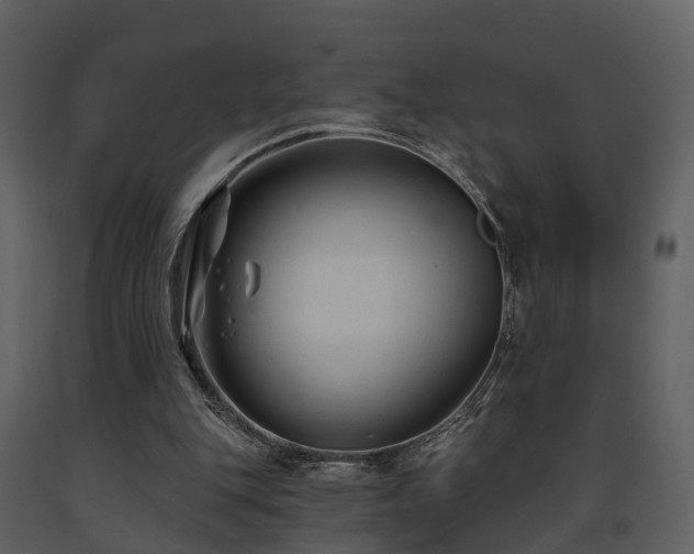 X0000091730151200708241421