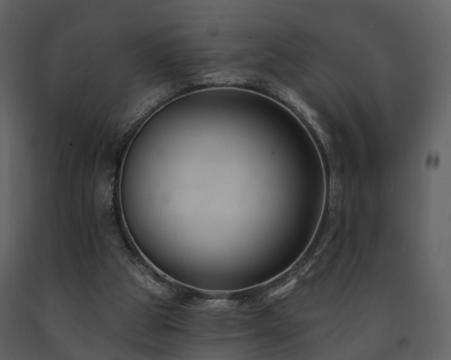 X0000091730153200708241421