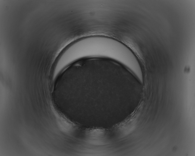 X0000091730156200708241421