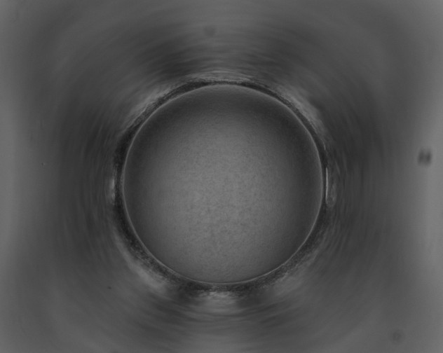 X0000091730157200708241421