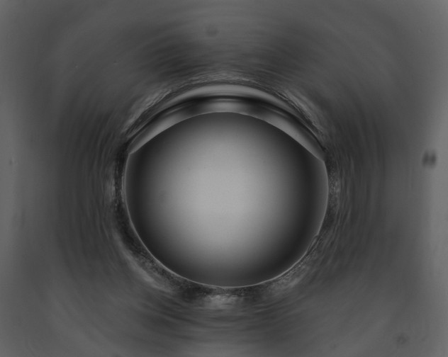 X0000091730158200708241421