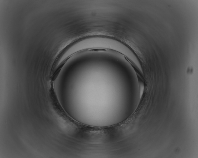 X0000091730160200708241421