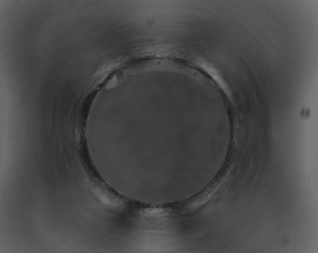 X0000091730161200708241421
