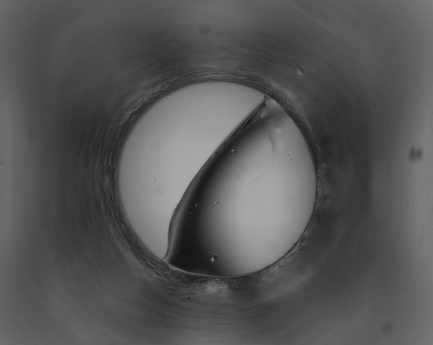 X0000091730162200708241421