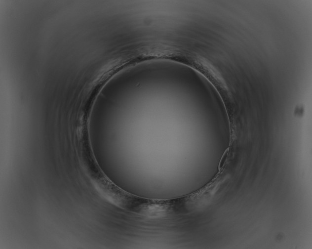 X0000091730163200708241421