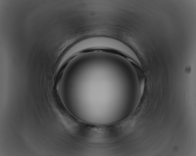 X0000091730164200708241421