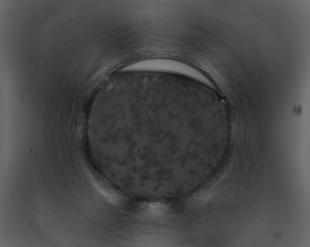 X0000091730165200708241421