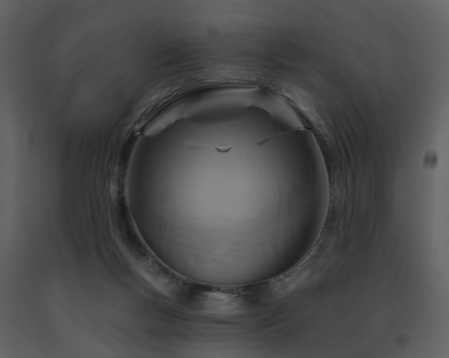 X0000091730167200708241421