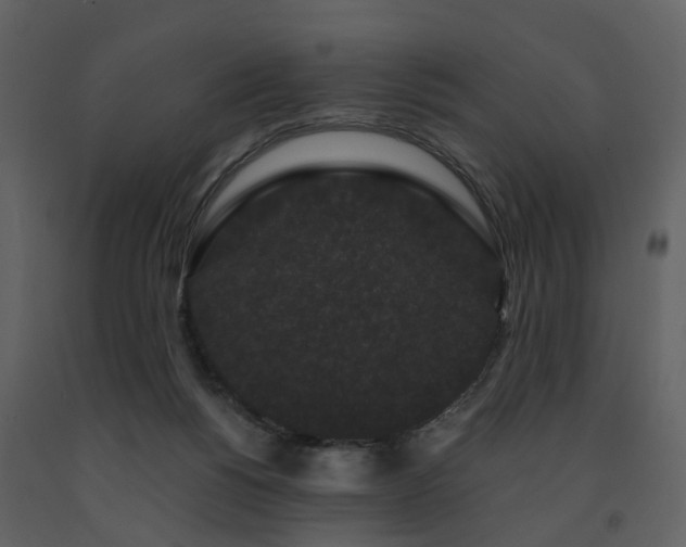 X0000091730168200708241421