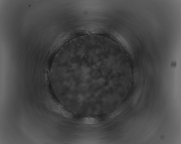 X0000091730169200708241421