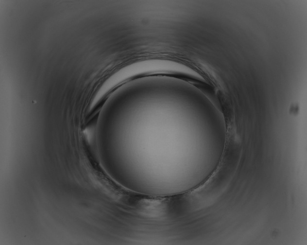 X0000091730170200708241421