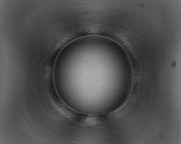 X0000091730171200708241421