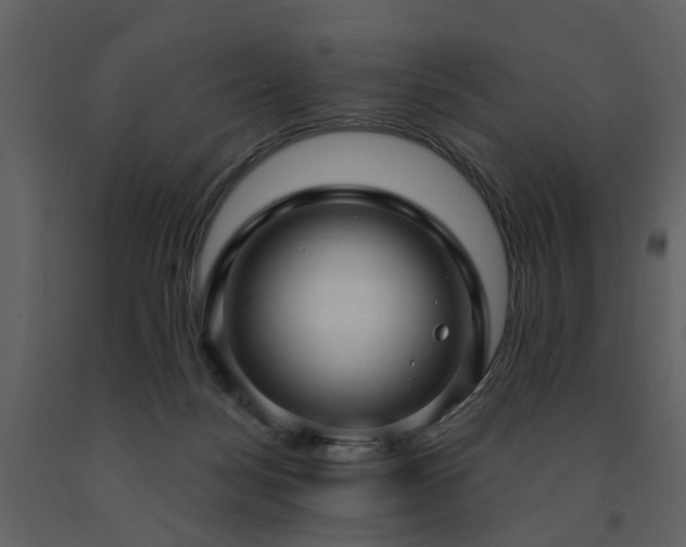 X0000091730172200708241421