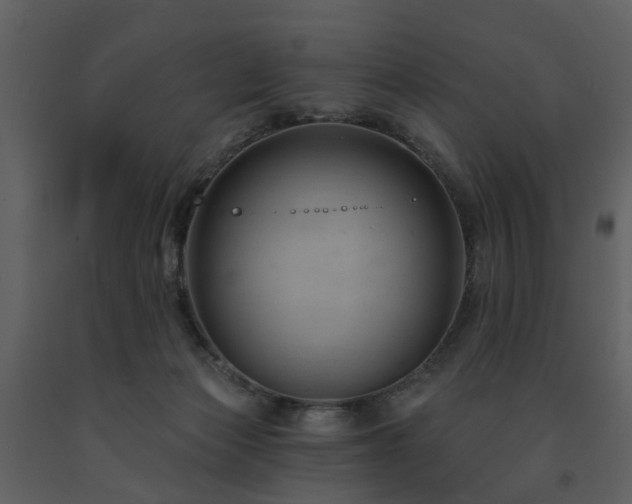 X0000091730173200708241421