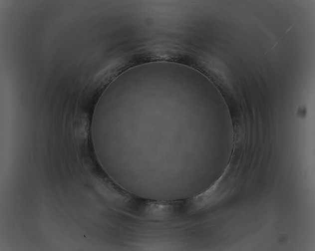 X0000091730174200708241421