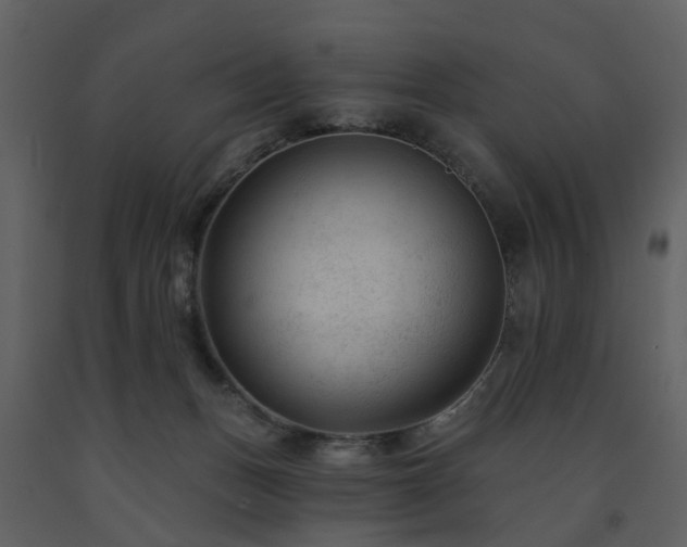 X0000091730175200708241421
