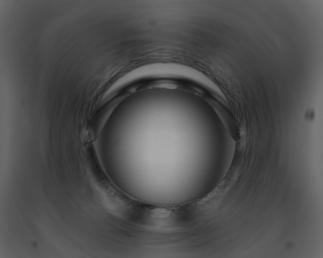 X0000091730176200708241421