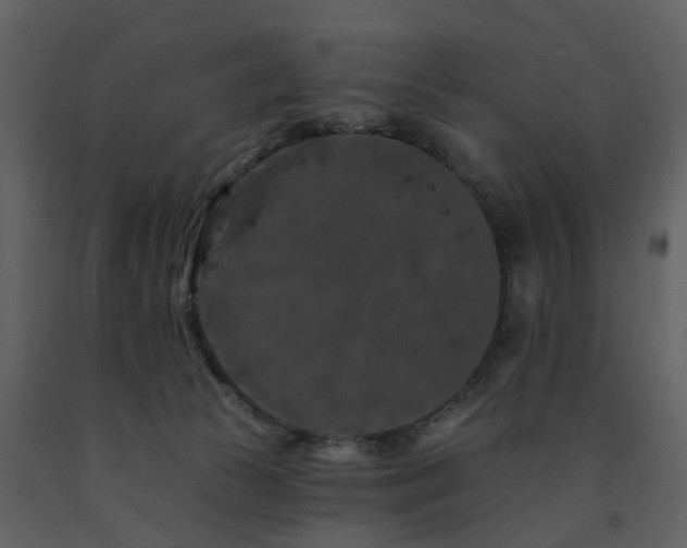 X0000091730177200708241421