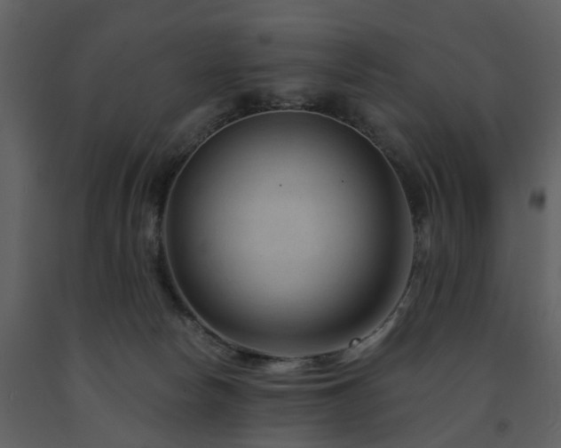 X0000091730178200708241421