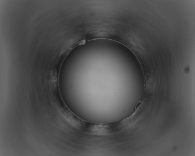 X0000091730179200708241421
