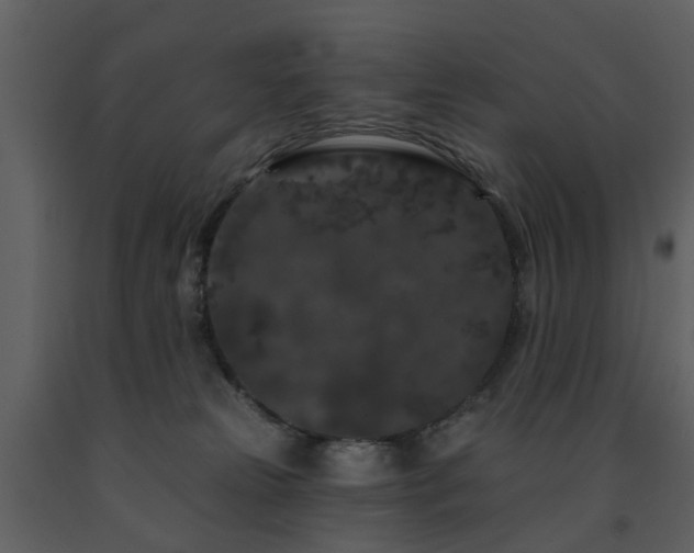 X0000091730181200708241422