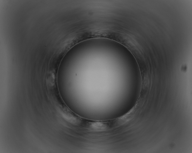 X0000091730183200708241422