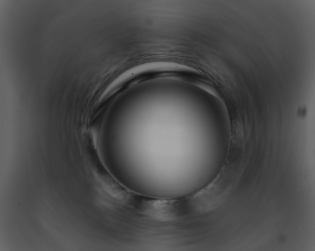 X0000091730184200708241422