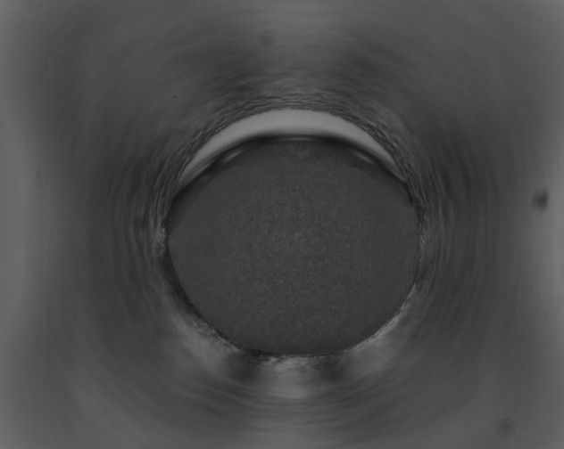 X0000091730186200708241422