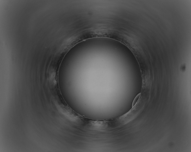X0000091730187200708241422