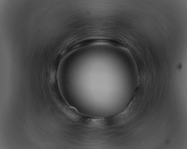 X0000091730188200708241422