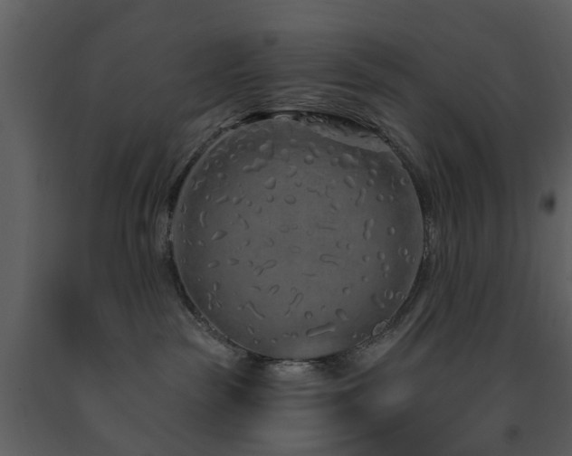 X0000091730189200708241422