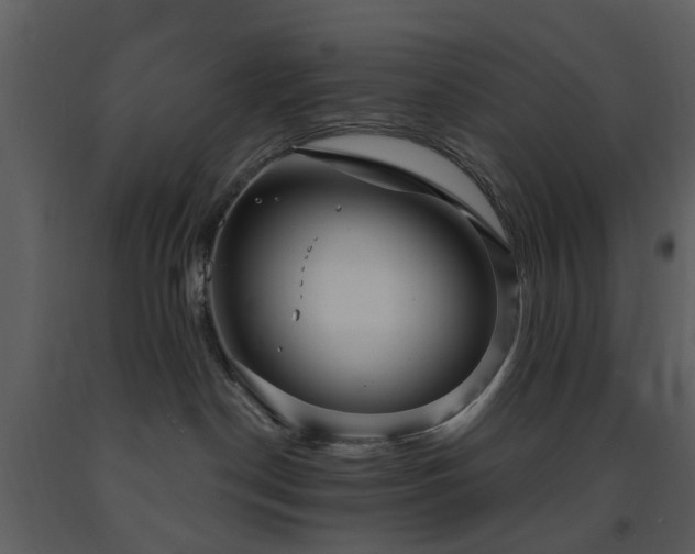 X0000091730190200708241422